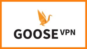 Hướng dẫn tải và cài đặt Goose VPN trên máy tính